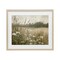 Stupell Industries Daisy Clusters in Meadow Framed Print Under Glass, design by Petal Prints Design